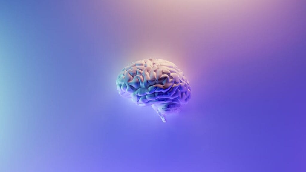 Unlocking the Secrets of Memory Retrieval from the Deceased Brain