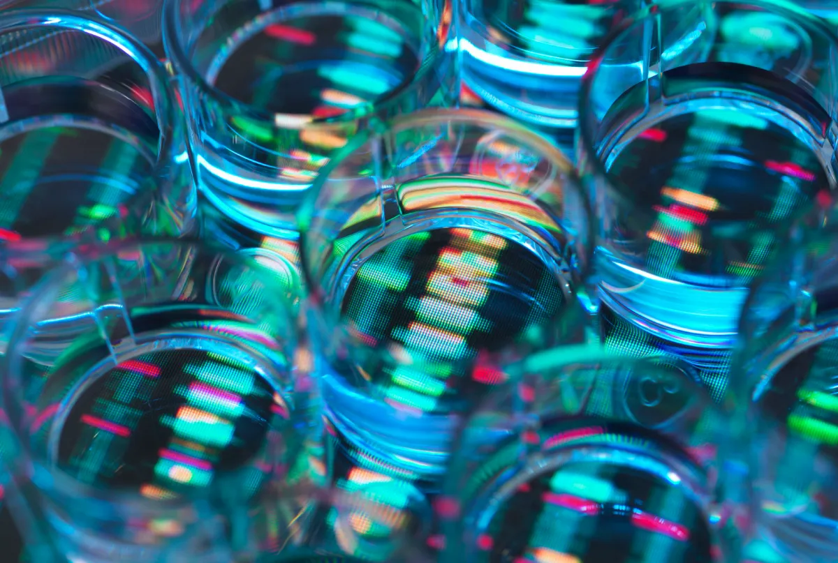 Home 1 biotech header